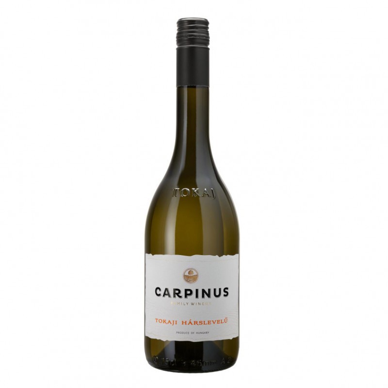 carpinus-tokaji-harslevel-4981
