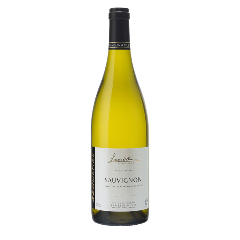 lamblin-fils-sauvignon-igp-pays-doc-10517