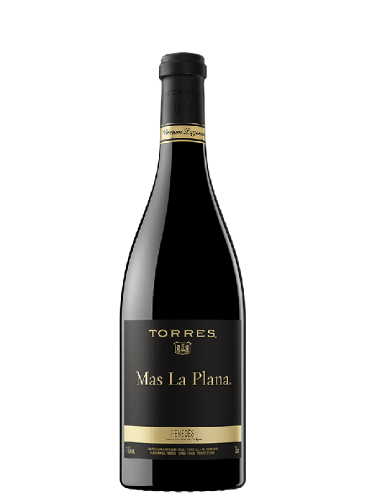 torres-mas-la-plana-13446