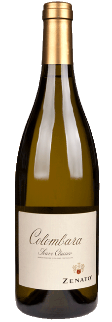 zenato-vigneto-colombara-soave-7506